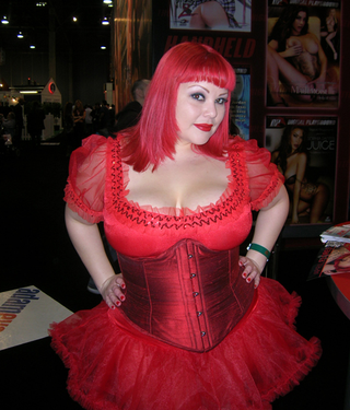 Illustration for article titled The AVN Convention & Awards: I Came, I Saw, & I Came Some More
